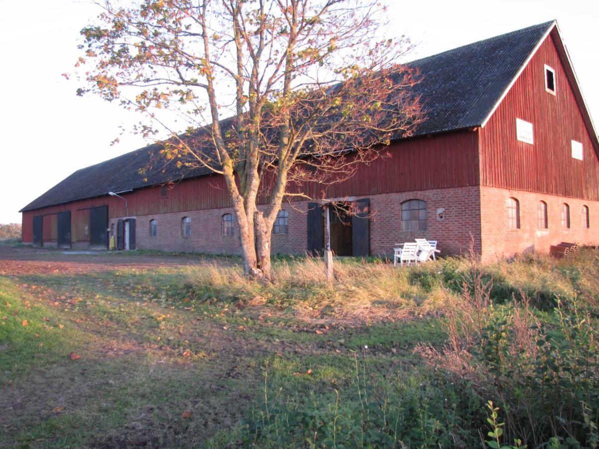Stalemara Gard Krickan Fågelmara Exterior photo